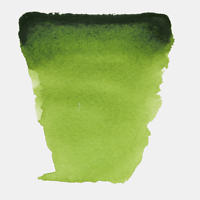 Watercolour Sap Green 10 ml tube